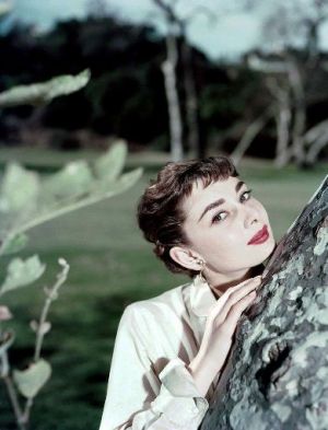 Photos of Audrey Hepburn - Audrey Hepburn fashion icon.jpg